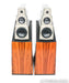 Vandersteen Model 5A Carbon Floorstanding Speakers