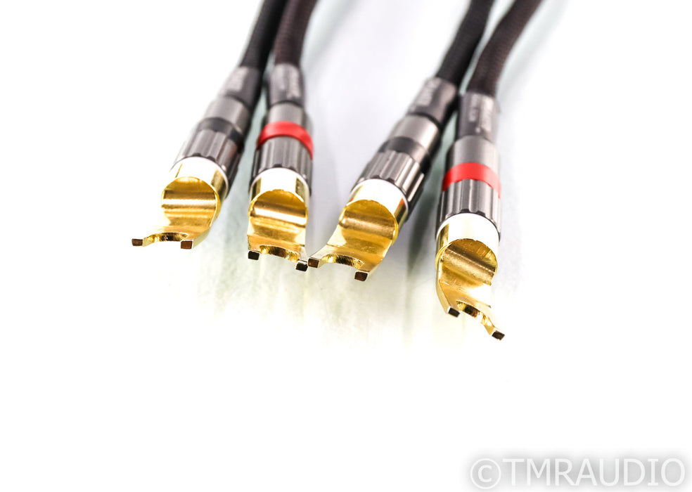 MIT Oracle Matrix HD 90 Rev.1 Speaker Cables; 10ft Pair