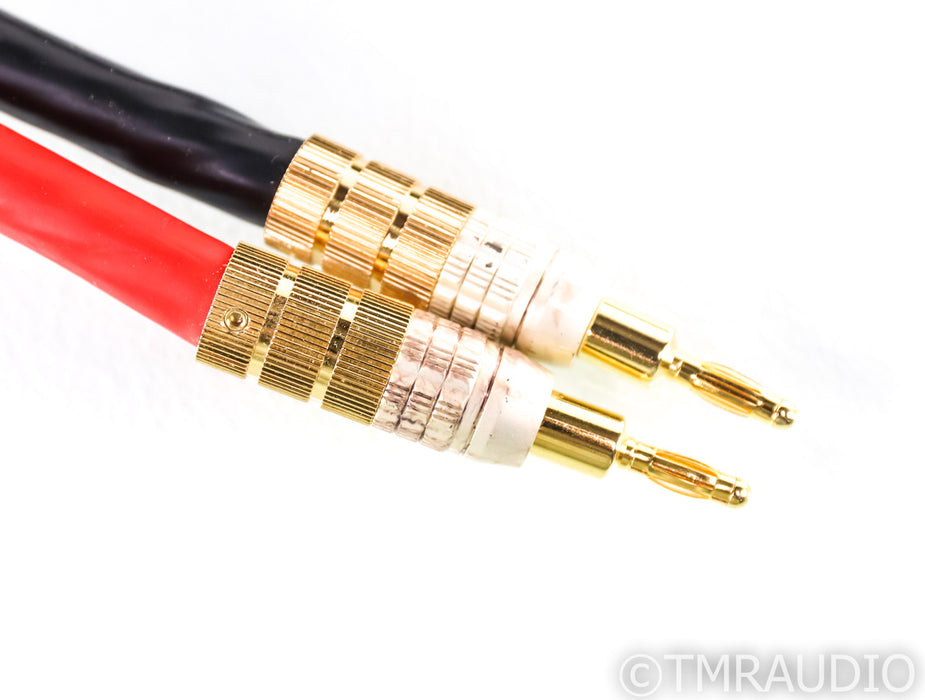 PS Audio xStream Statement Speaker Cables; 3m Pair; Spade & Banana Terminations