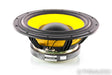 HiVi Research F10 10" Woofer; Bass Driver