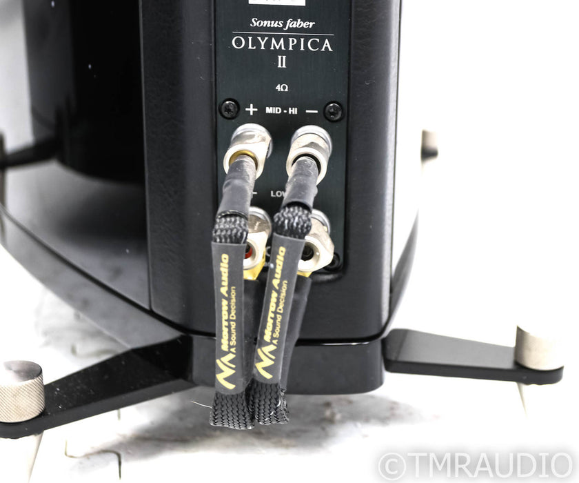 Sonus Faber Olympica II Floorstanding Speakers