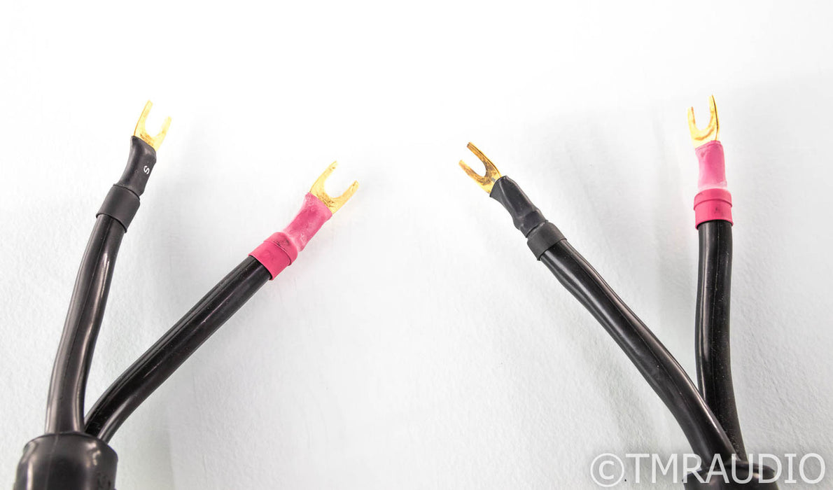 Tara Labs Space & Time Quantum III Speaker Cables; 10ft Pair; QmIII