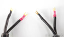 Tara Labs Space & Time Quantum III Speaker Cables; 10ft Pair; QmIII