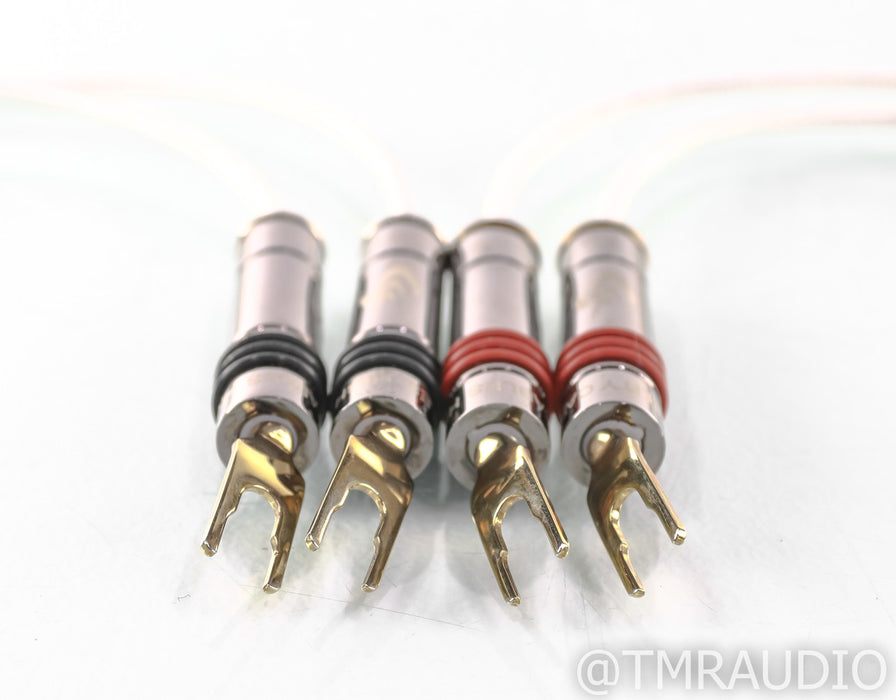 High Fidelity Cables CT-1 Level 1 Speaker Jumper Cables; 18" Pair; CT1