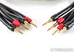 Transparent MusicWave Plus Speaker Cables; 10ft Pair; MM2