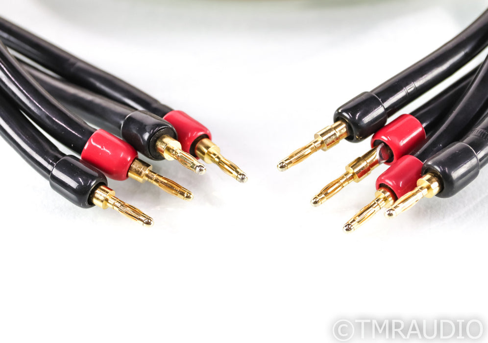 Transparent MusicWave Plus Speaker Cables; 10ft Pair; MM2