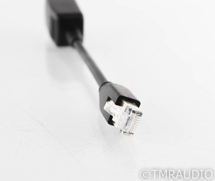 Acoustic Revive RLI-1 LAN Isolator; Ethernet Network Noise Reducer