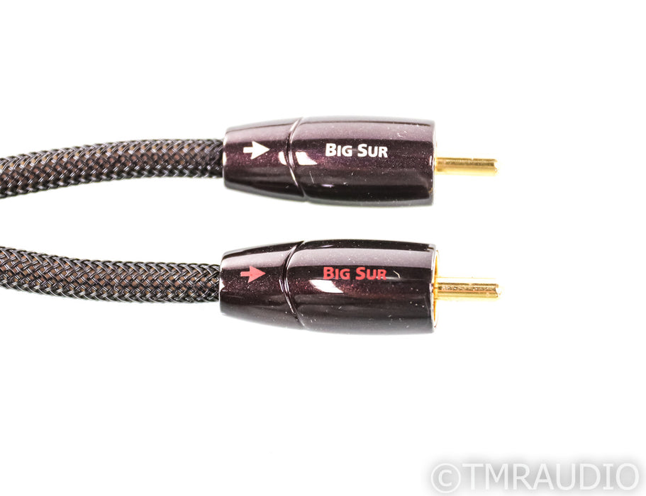 AudioQuest Big Sur RCA Cables; 1m Pair Interconnects