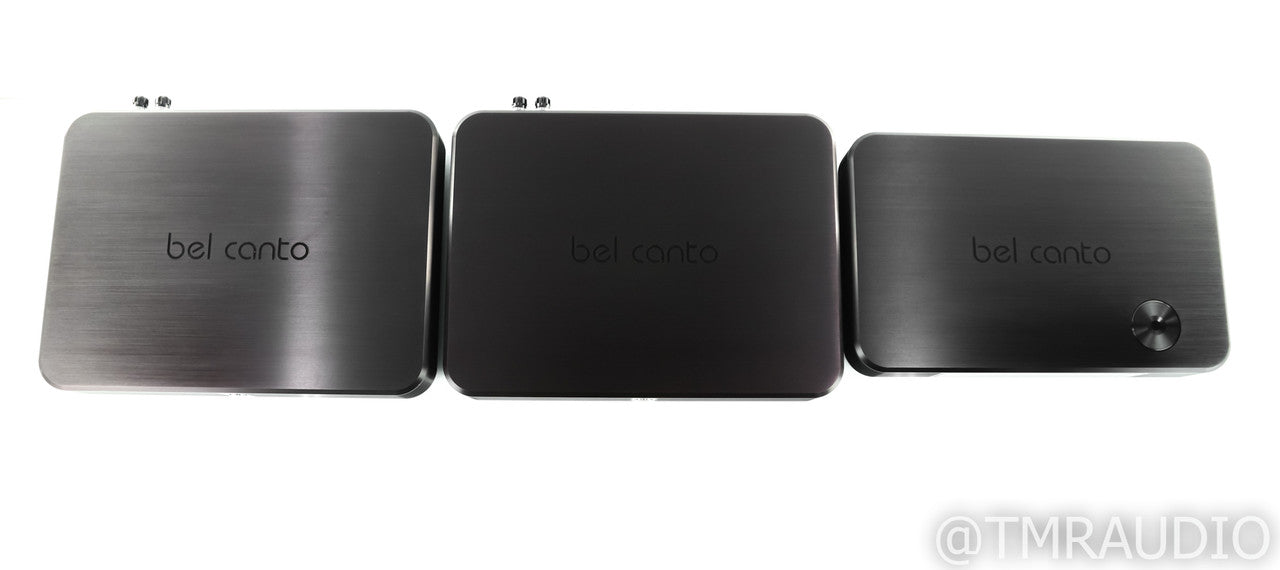 Bel Canto Black Ultimate Digital Amplifier System