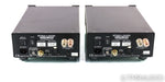 Wyred 4 Sound SX-1000 Ice Cube Mono Power Amplifier