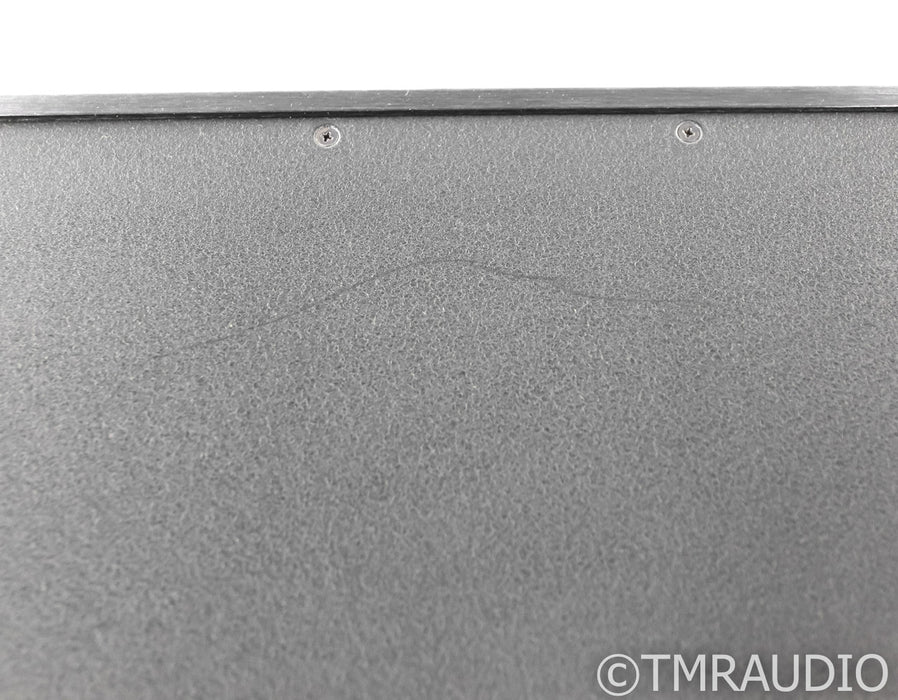 Theta Digital Chroma 396 DAC; D/A Converter; HDCD (No Optical In)