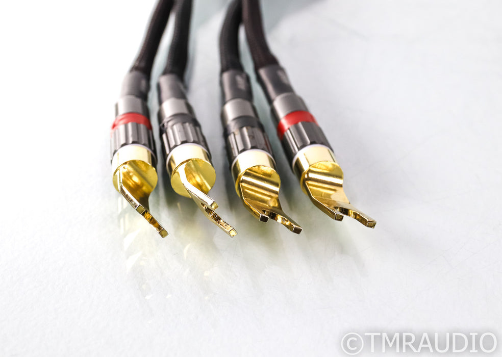 MIT Oracle Matrix HD 90 Rev.1 Speaker Cables; 10ft Pair