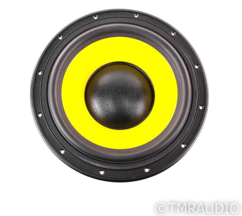 HiVi Research F10 10" Woofer; Bass Driver