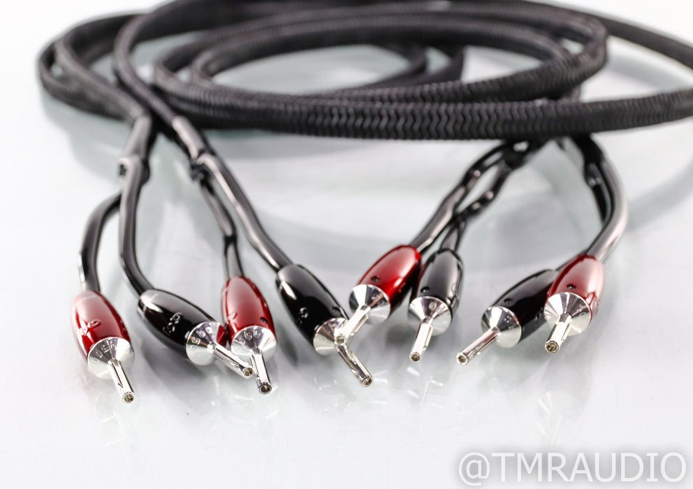 AudioQuest Rocket 44 Speaker Cables; 8ft Pair