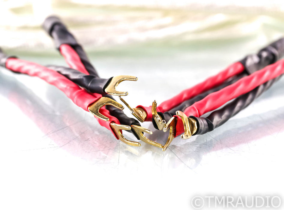 Virtue Audio Nirvana Speaker Cables; 4m Pair