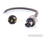 Revelation Audio Labs Precept II CryoSilver Reference Power Cable; 2ft AC Cord