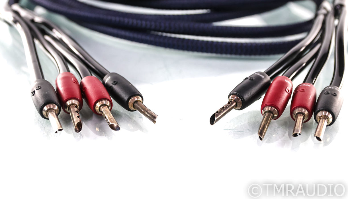 AudioQuest Type 4 Speaker Cables; 10ft Pair