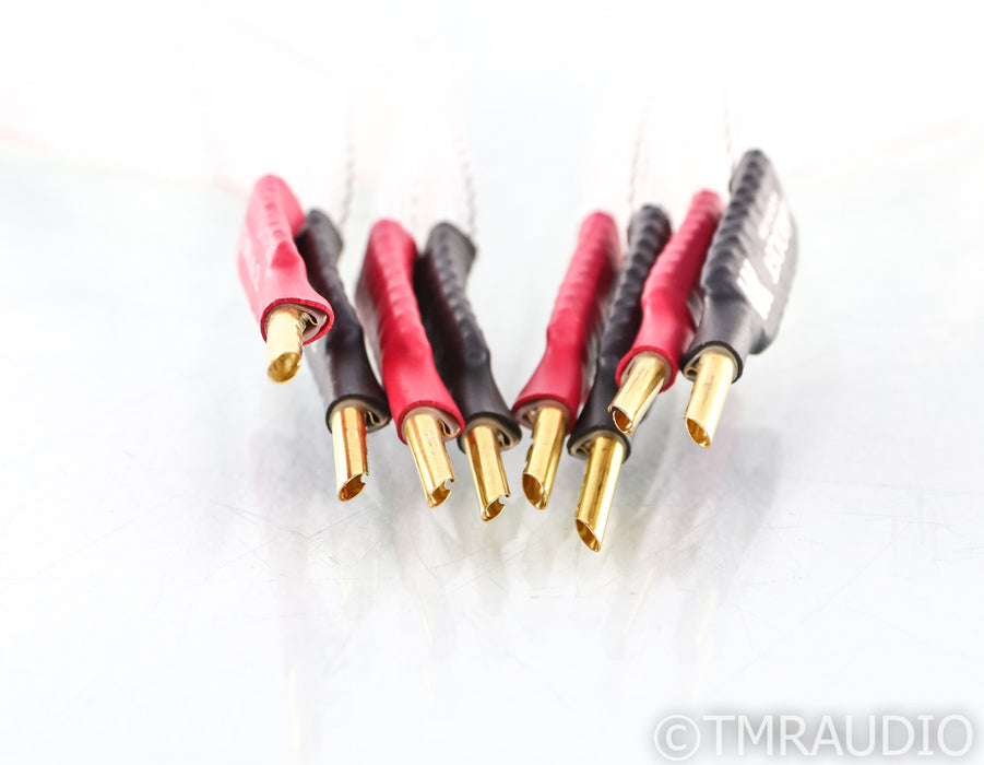 Nordost Valhalla 2 Speaker Cables; 2m Pair