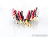 Nordost Valhalla 2 Speaker Cables; 2m Pair