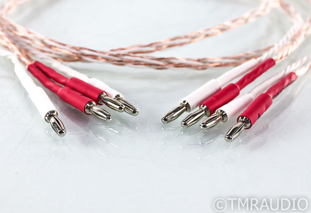 Kimber Kable 4TC Speaker Cables; 4ft Pair