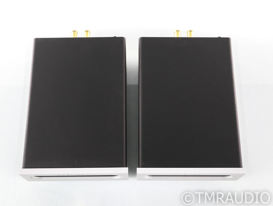 Bel Canto e.One REF500M Mono Power Amplifier