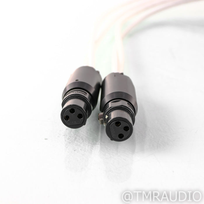 High Fidelity Cables CT-1 Ultimate XLR Cables; 1m Pair Balanced Interconnects