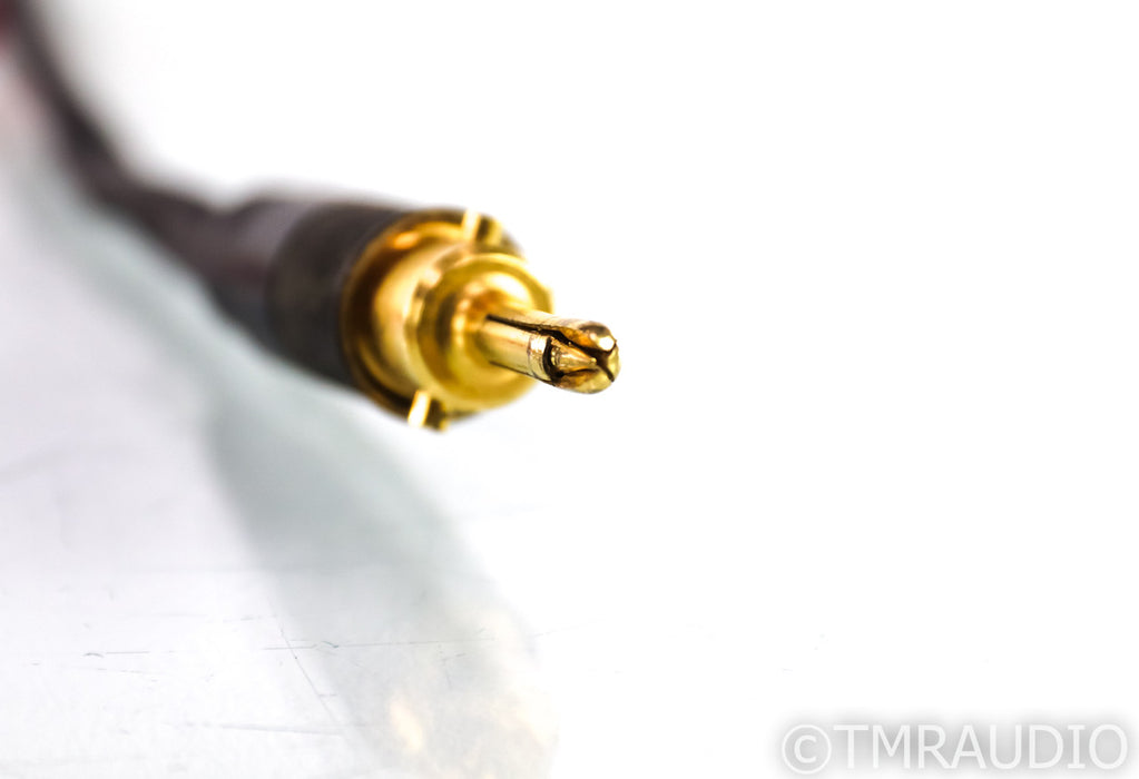 Moon Audio Black Dragon V1 Speaker Cables; 12ft Pair