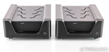 Wyred 4 Sound mAMP Mono Power Amplifier
