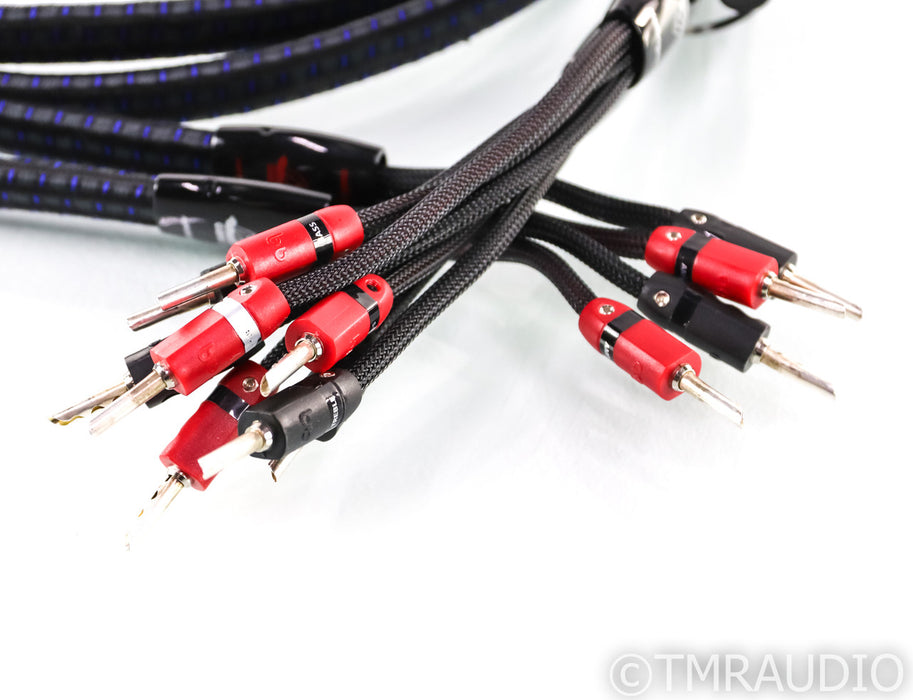 AudioQuest Gibraltar Bi-Wire Speaker Cables; 8ft Pair; 72v DBS