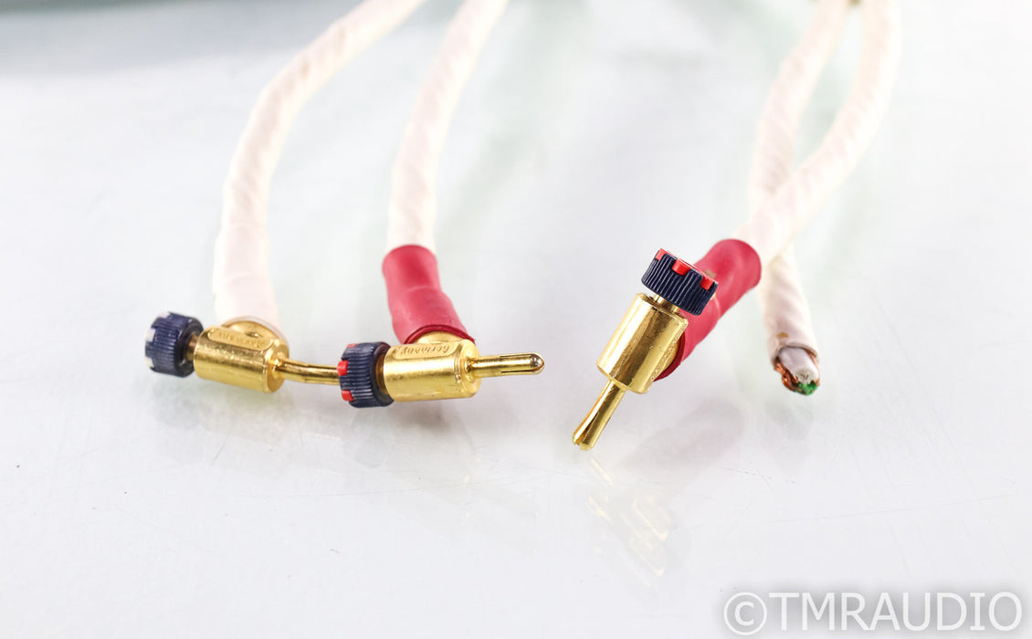 Synergistic Research Resolution Reference X Series Speaker Cables; 12ft Pair