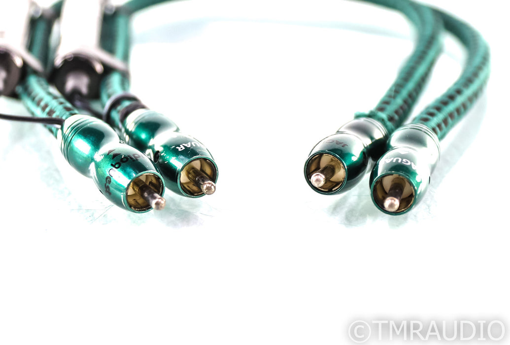 Audioquest Jaguar RCA Cables; 24v DBS; .5m Pair Interconnects