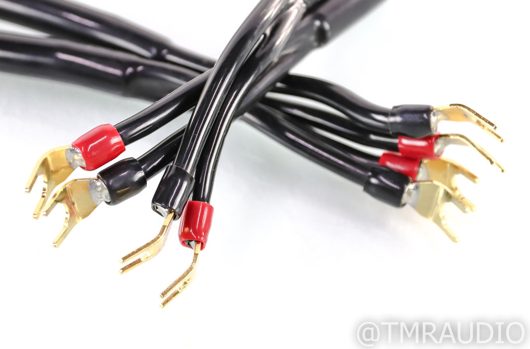Transparent MusicWave Speaker Cables; 8ft Pair