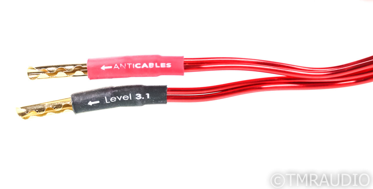 Anticables Level 3.1 Speaker Cables; 12ft Pair