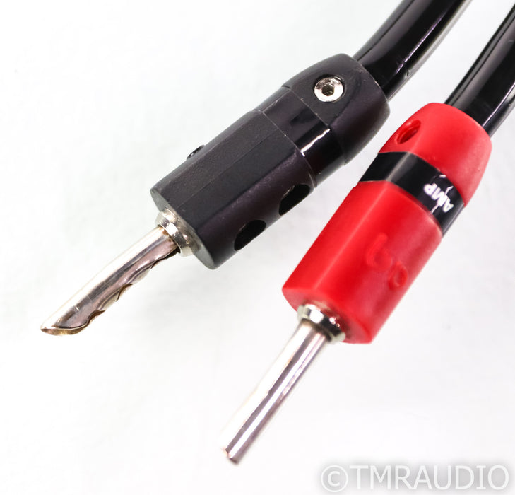 AudioQuest Rocket 33 Speaker Cables; 10ft Pair