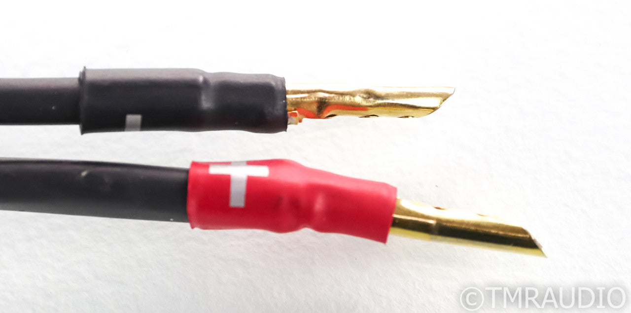 Synergistic Research Element Tungsten Speaker Cables; 12ft Pair