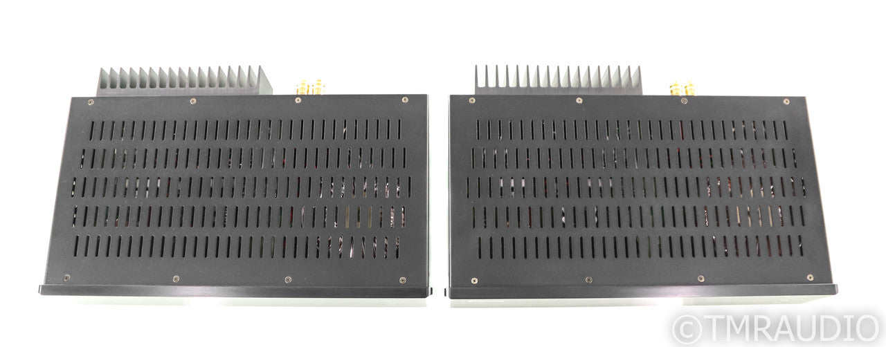 Herron Audio M1A Mono Power Amplifier