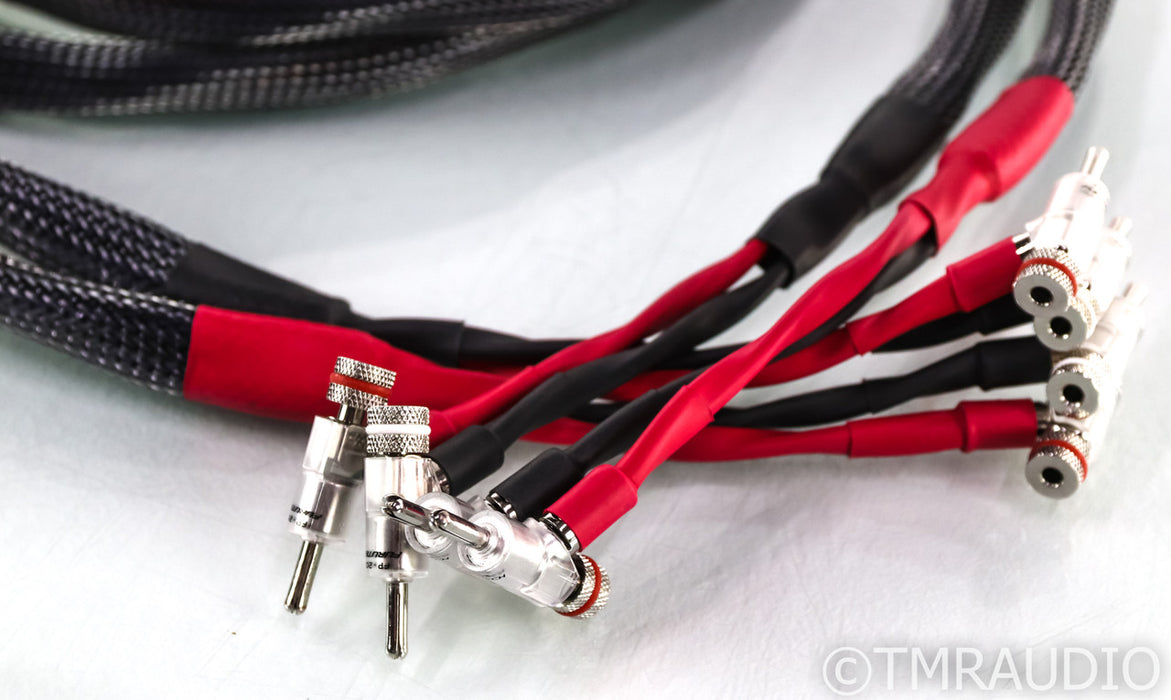 Audio Art Cable SC-5 ePlus Cryo Speaker Cables; 12ft Pair; Rhodium Banana