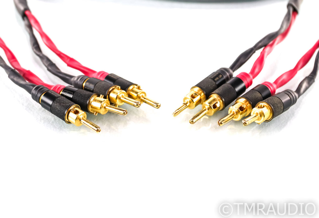 Moon Audio Black Dragon V1 Speaker Cables; 12ft Pair