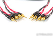 Moon Audio Black Dragon V1 Speaker Cables; 12ft Pair