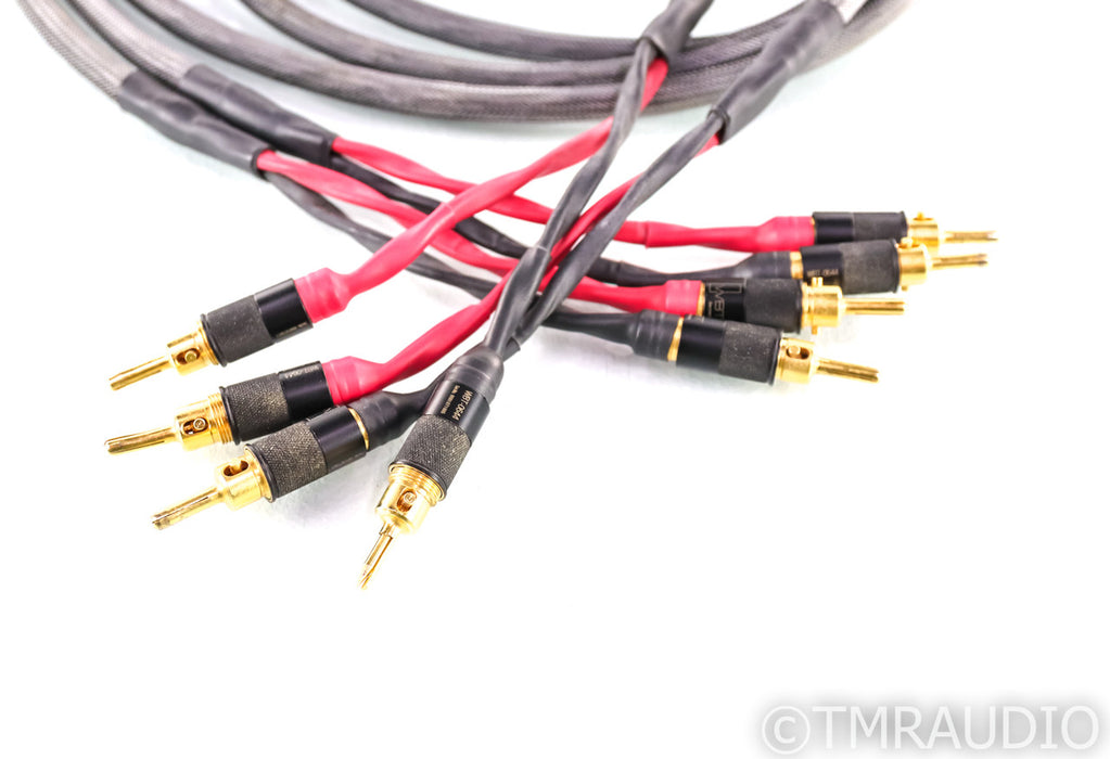 Moon Audio Black Dragon V1 Speaker Cables; 12ft Pair