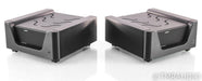 Wyred 4 Sound mAMP Mono Power Amplifier