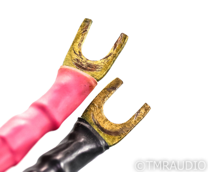 Tara Labs Space & Time Quantum II Biwire Speaker Cables; 15ft Pair