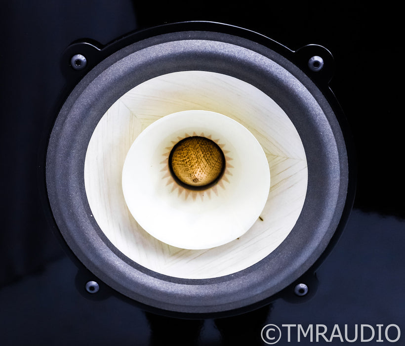 PureAudioProject Trio15 Voxativ Open Baffle Floorstanding Speakers