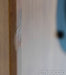 Spendor SP100R Floorstanding Speakers