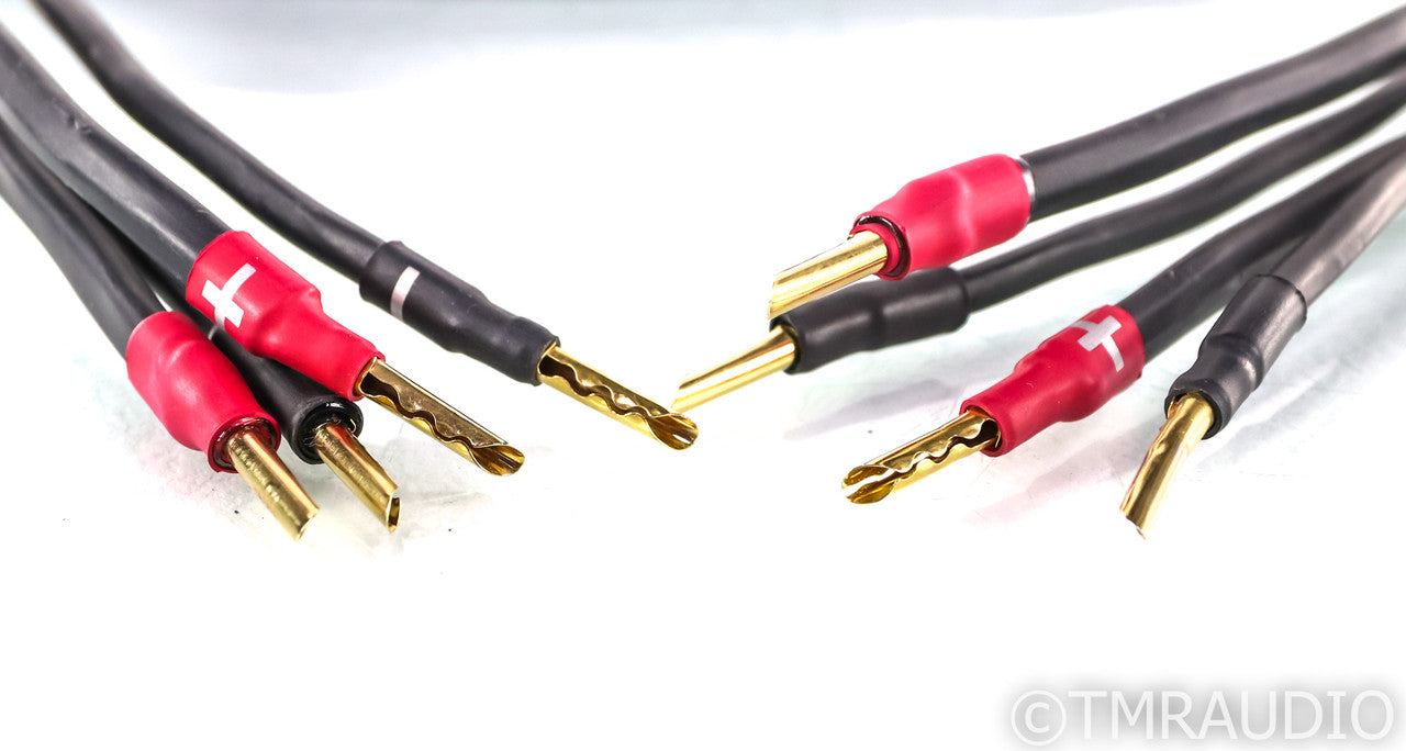 Synergistic Research Element Tungsten Speaker Cables; 12ft Pair