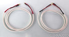 AudioQuest Type 4 Speaker Cables; 8ft Pair