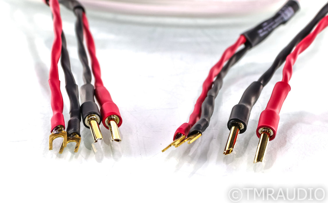 AudioQuest Type 4 Speaker Cables; 8ft Pair