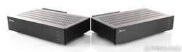 Herron Audio M1A Mono Power Amplifier