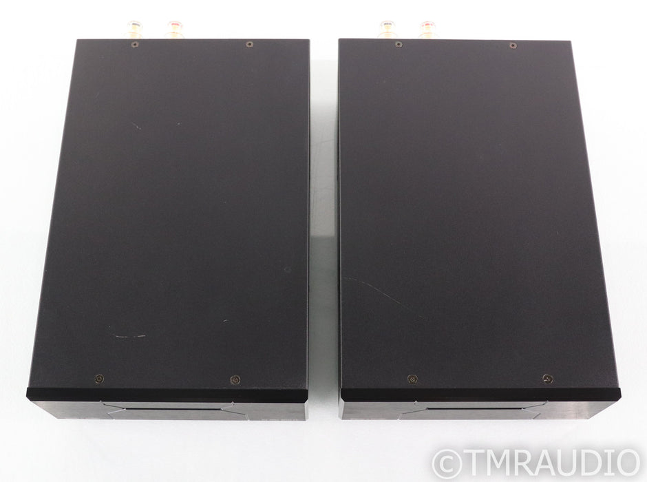 Wyred 4 Sound Ice Cube 1000-SX Mono Power Amplifier; Pair; 1000SX; 200-SX