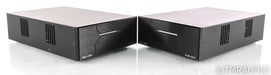 Wyred 4 Sound Ice Cube 1000-SX Mono Power Amplifier; Pair; 1000SX; 200-SX